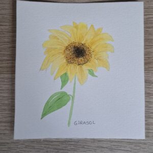 Girasol