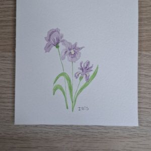 Iris