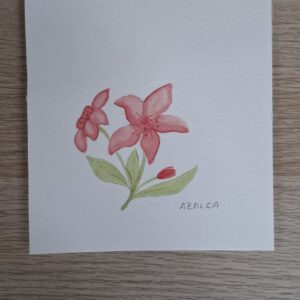 Azalea